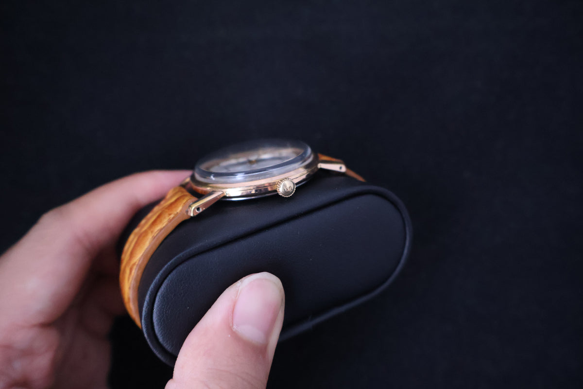 (SERVICED) Rare Vintage 1960s Seiko Champion EGP 20 Microns 17 Jewels - J14082