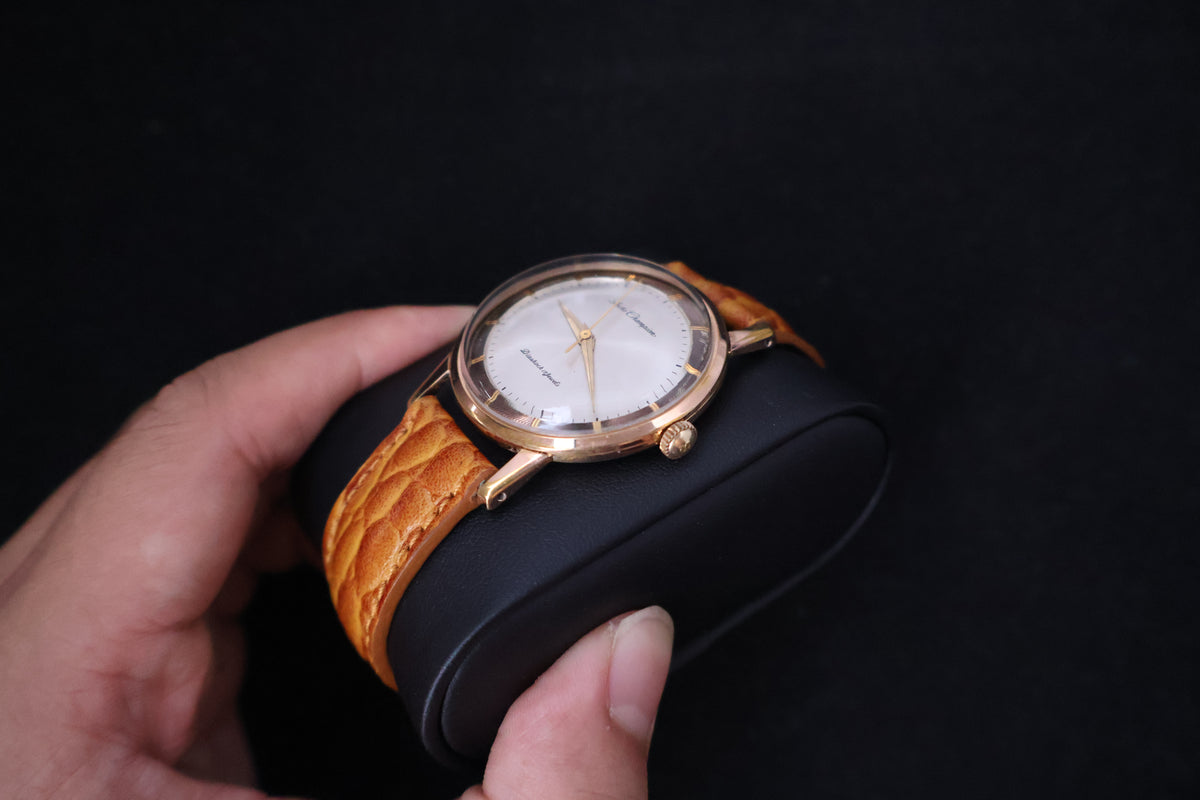 (SERVICED) Rare Vintage 1960s Seiko Champion EGP 20 Microns 17 Jewels - J14082