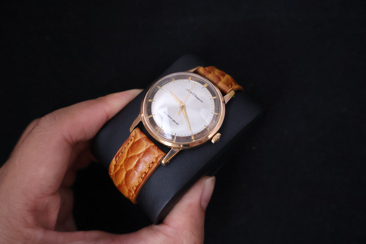 (SERVICED) Rare Vintage 1960s Seiko Champion EGP 20 Microns 17 Jewels - J14082